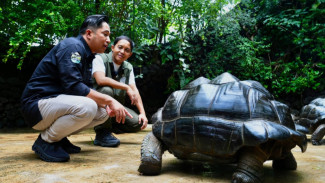 Menhut Raja Antoni Bertemu Irfan Hakim, Diskusikan Gerakan Sayangi dan Lestarikan Satwa Indonesia