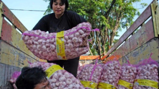 Harga Bawang Putih Melejit, Prabowo Diminta Perbaiki Tata Kelola Importasi Bawang Putih
