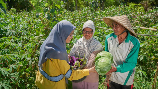 Program Pertanian Organik Perusahaan Ini Tingkatkan Hasil Panen Petani Lokal