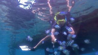 43.446 Wisatawan Padati Kepulauan Seribu Saat Libur Lebaran 2025