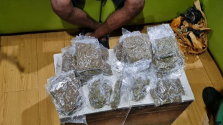 Bawa 50 Paket Ganja, Calon Penumpang di Bandara Sentani Ditangkap