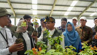 Sinergi Masyarakat dan Pemerintah Dorong Budaya Menanam di NTB