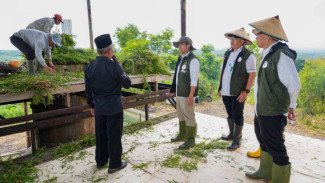 Dicurhati Petani soal Penjualan Minyak Kayu Putih, Menhut Koordinasi ke Mendag Terkait Impor