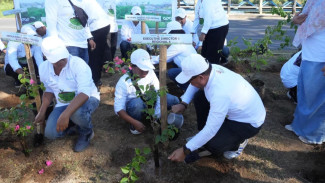 Aksi Lingkungan Berskala Besar: Penanaman 40 Ribu Pohon Dukung Ketahanan Pesisir