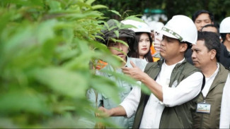 Menhut: Pembangunan-Kelestarian Alam Bisa Jalan Bersamaan, Asal Jangan Ada Kongkalikong