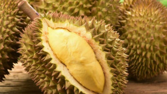 Tips Jitu Menyimpan Durian Kupas Biar Tetap Nikmat Setiap Hari