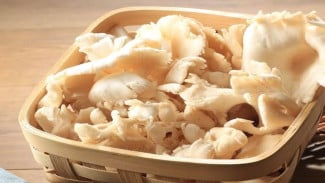 Jangan Langsung Mencuci Jamur Sebelum Dimasak, Ini Alasannya