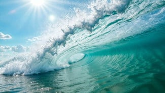 img_title