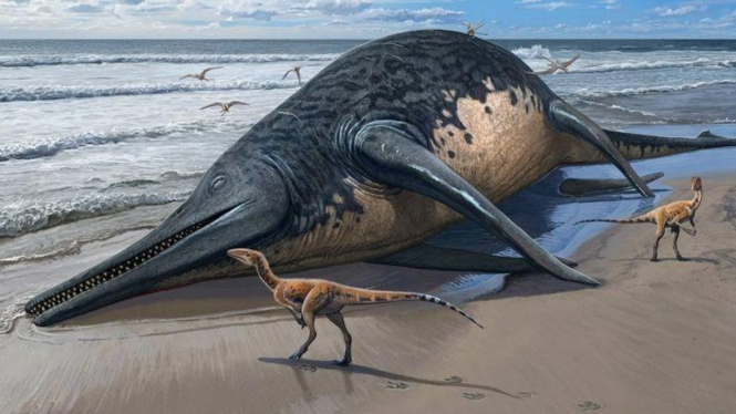 Ilustrasi ichthyosaurus raksasa atau paus raksasa