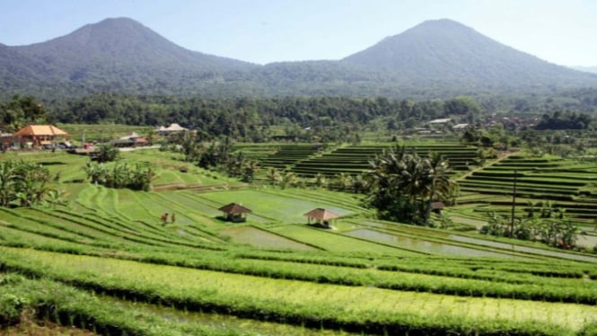 Sawah berundak atau subak di Jatiluwih, Tabanan, Bali