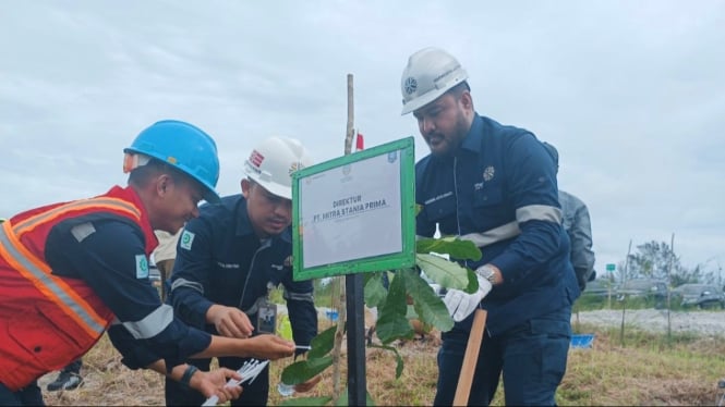 Arsari Tambang PT MSP melakukan reboisasi di Bangka Belitung