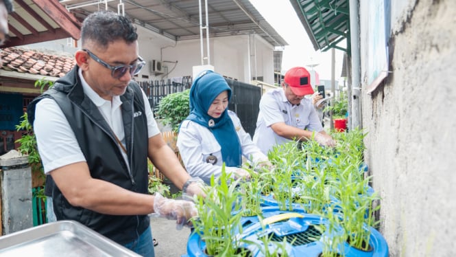 Program TJSL Budidaya Lele dan Hodroponik