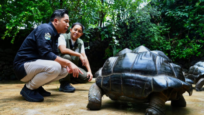 Menhut Raja Antoni Bertemu Irfan Hakim