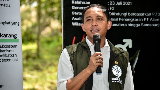 Menteri Kehutanan (Menhut) Raja Juli Antoni