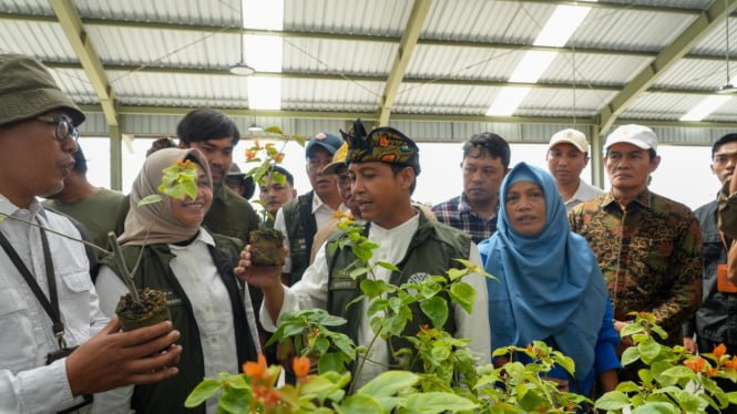 Menhut tinjau persemaian Mandalika, target 5 juta bibit