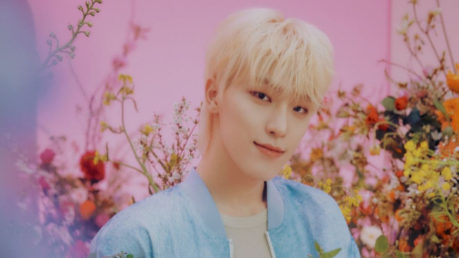 Dino SEVENTEEN
