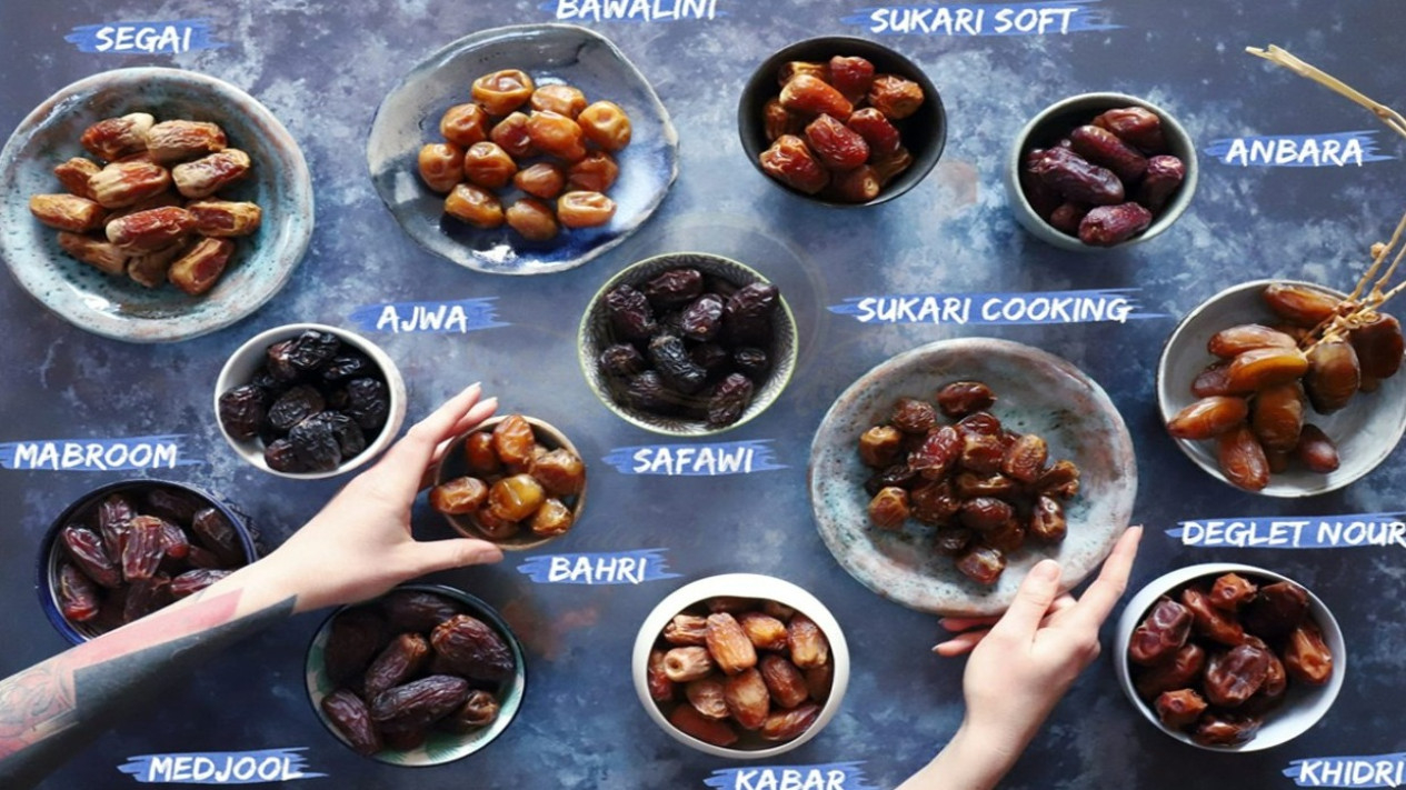 aneka kurma