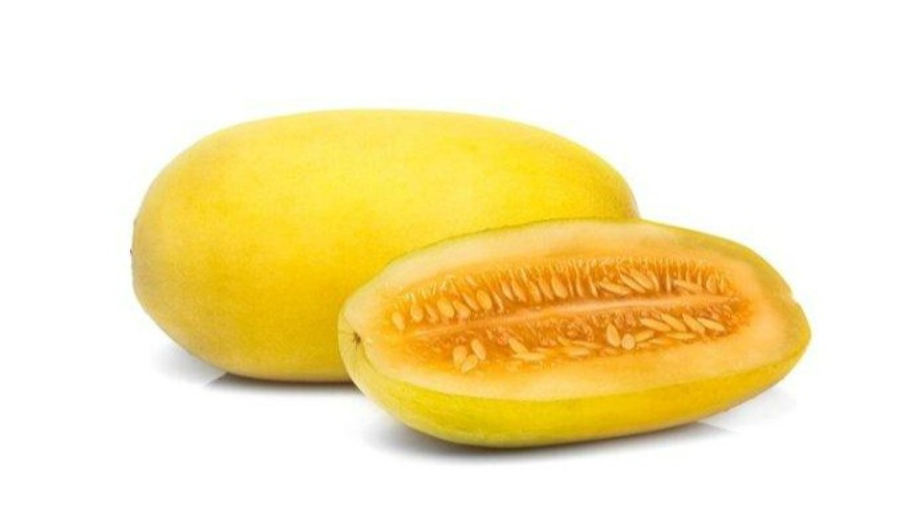 buah emas, timun suri