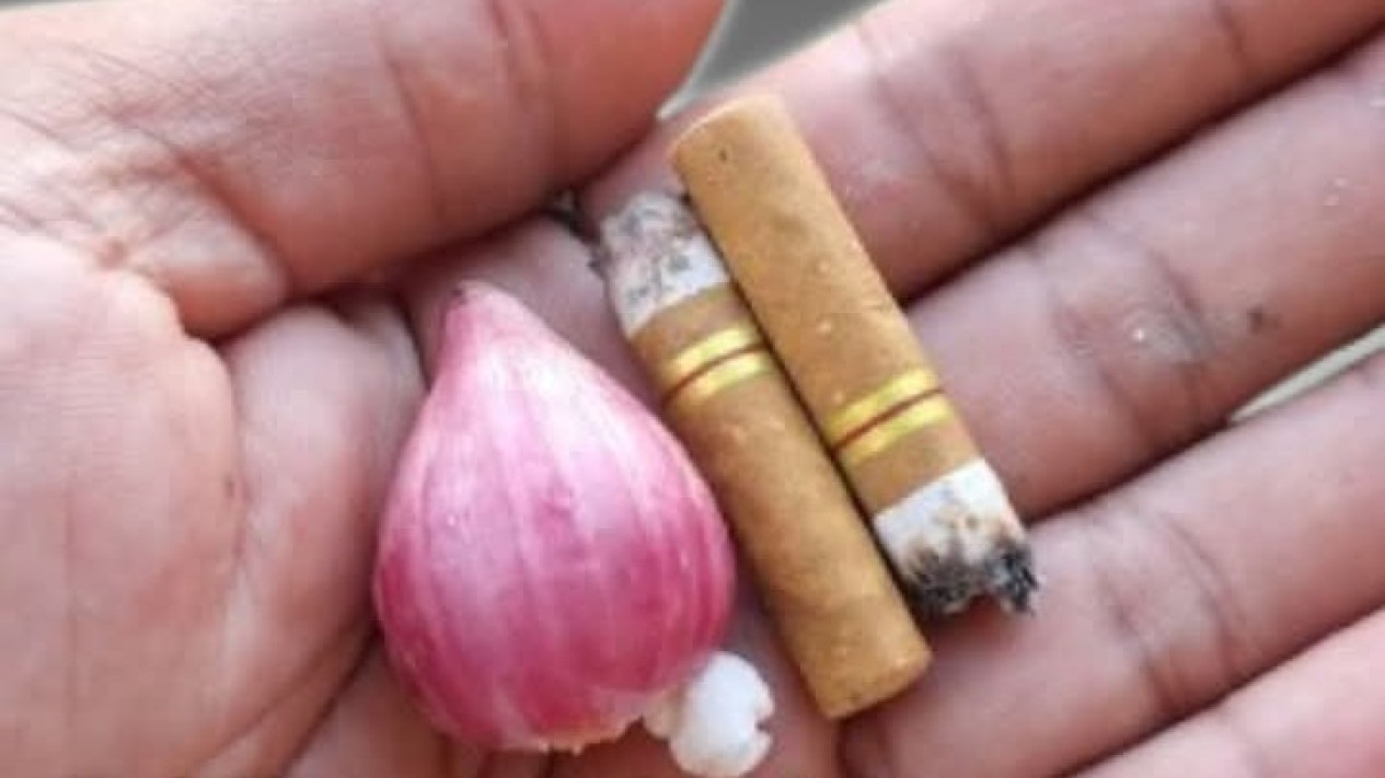 Pembasmi tikus