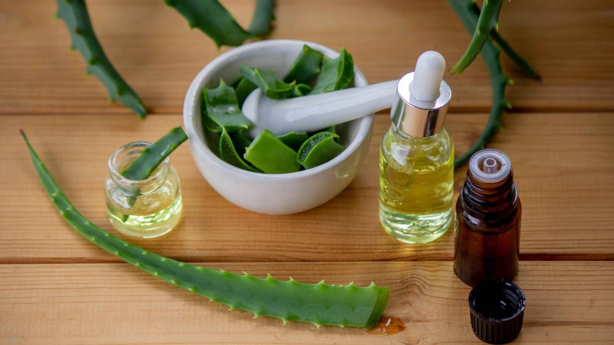 Lotion alami berbahan lidah buaya