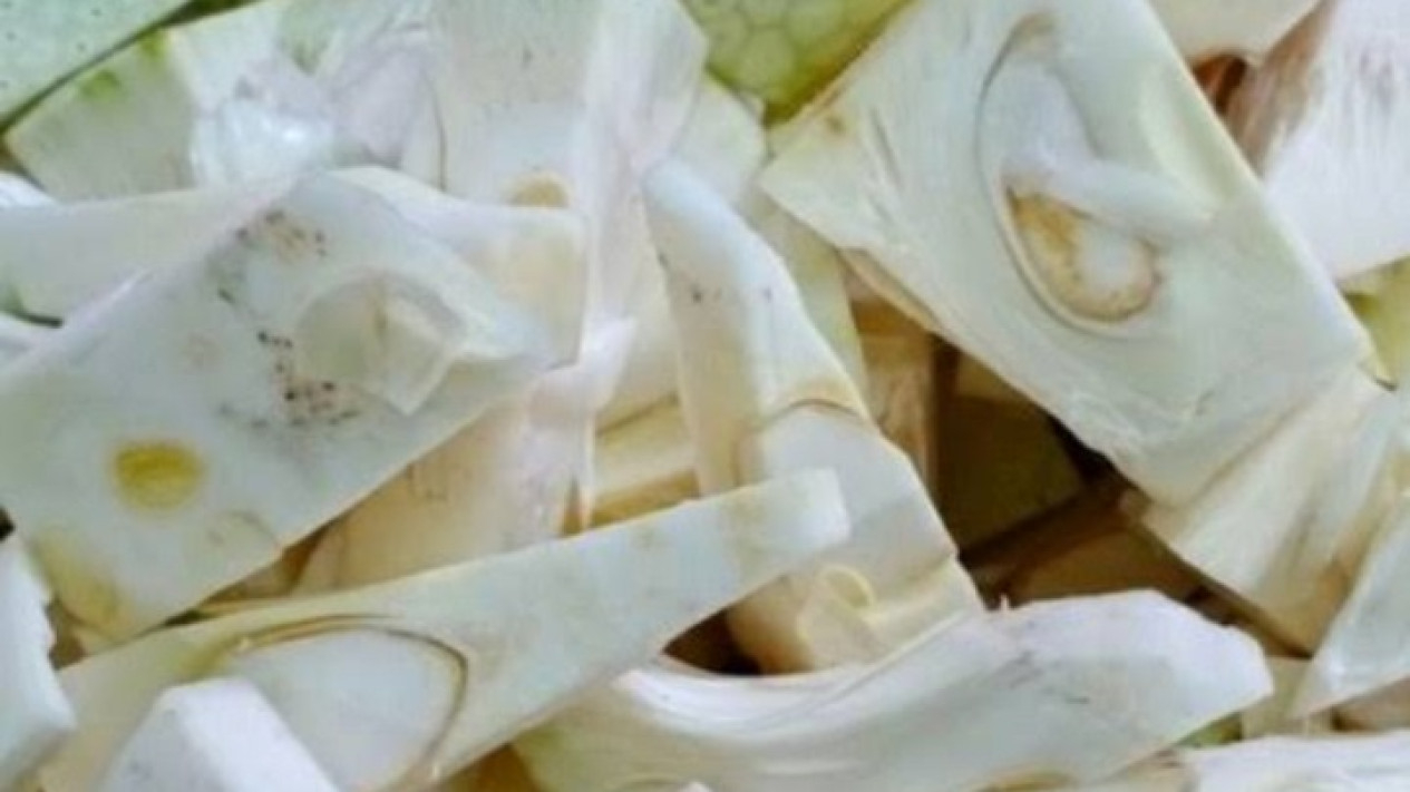 Nangka muda