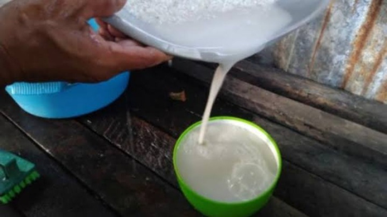 Manfaat cucian air beras untuk tanaman