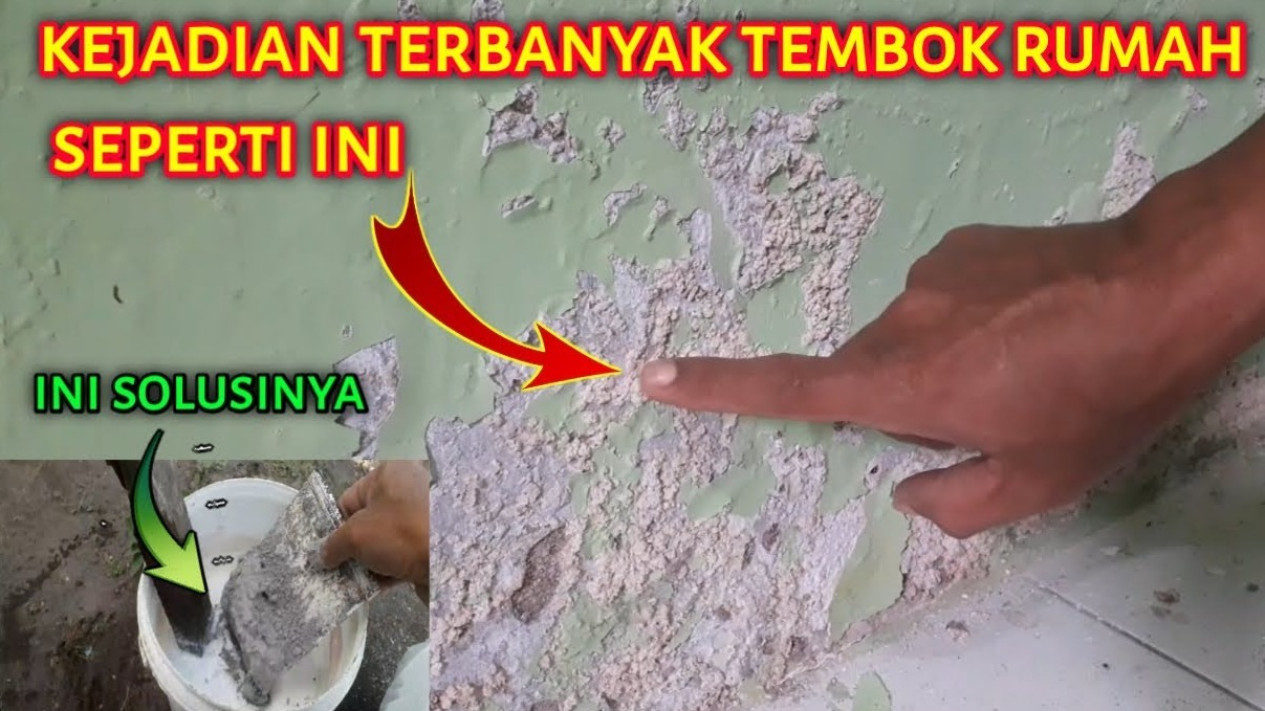 tips cata tembok mengelupas