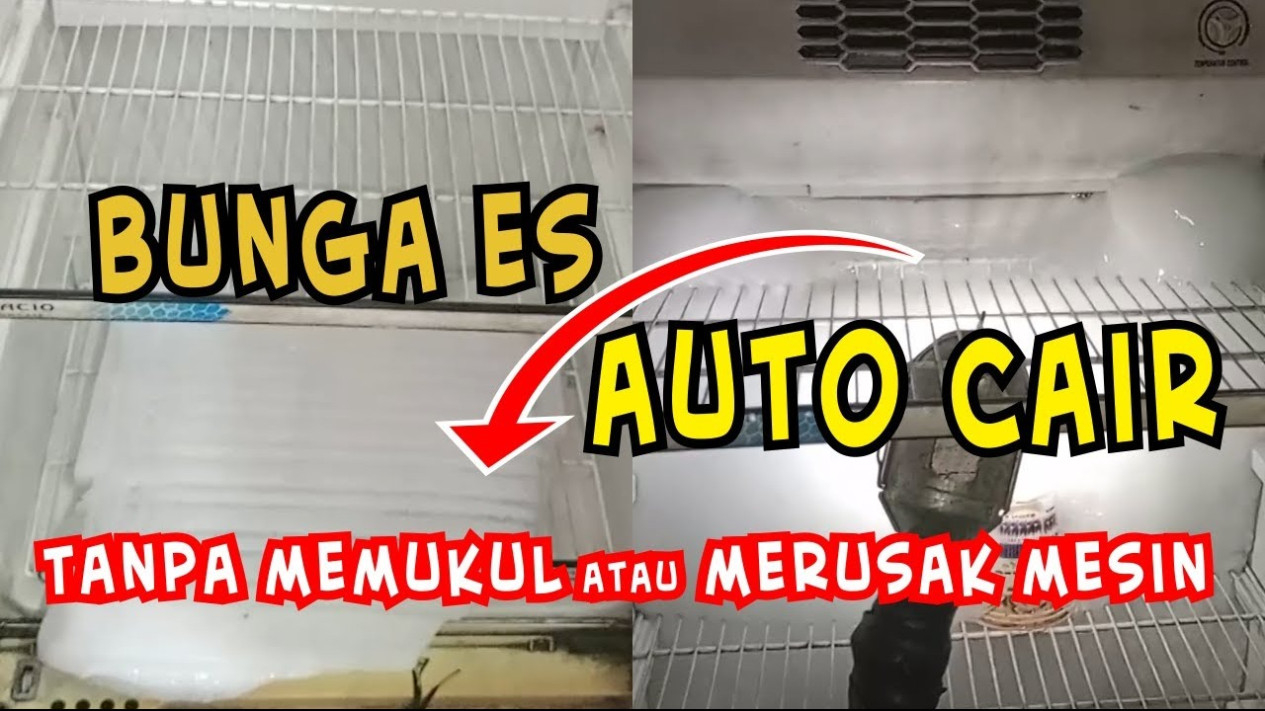Tips mencairkan bunga es