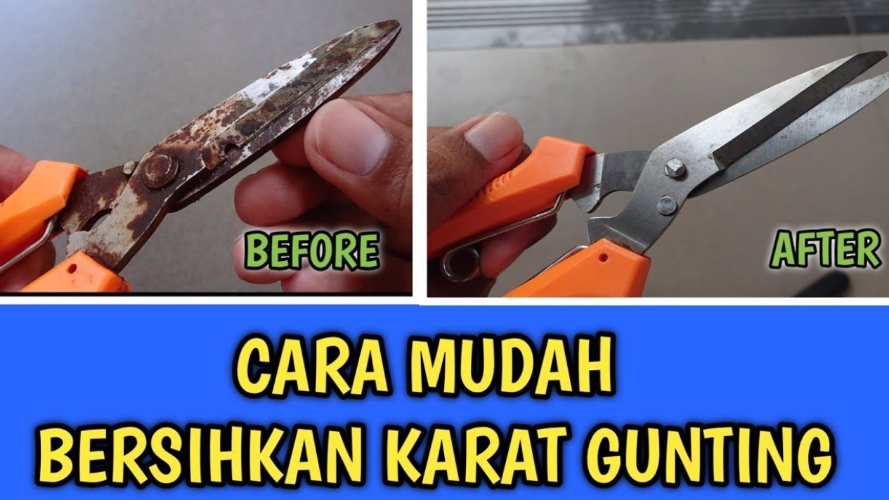 Tips Mengatasi Gunting Karat