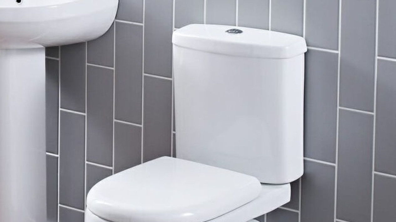 Flush Closet Duduk