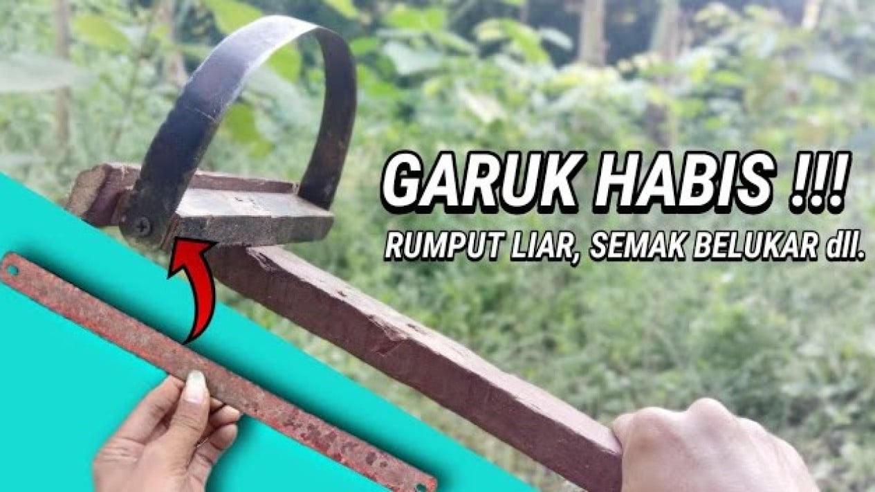 Cara Membasmi Rumput Liar