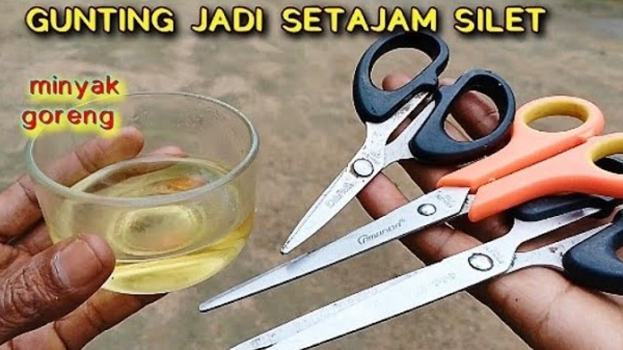 Cara Menajamkan Gunting Tumpul dengan Minyak Goreng