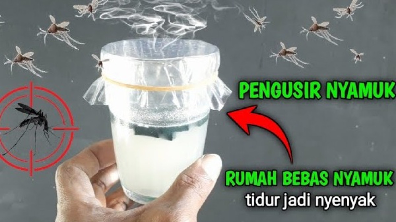 Tips Mengusi Nyamuk