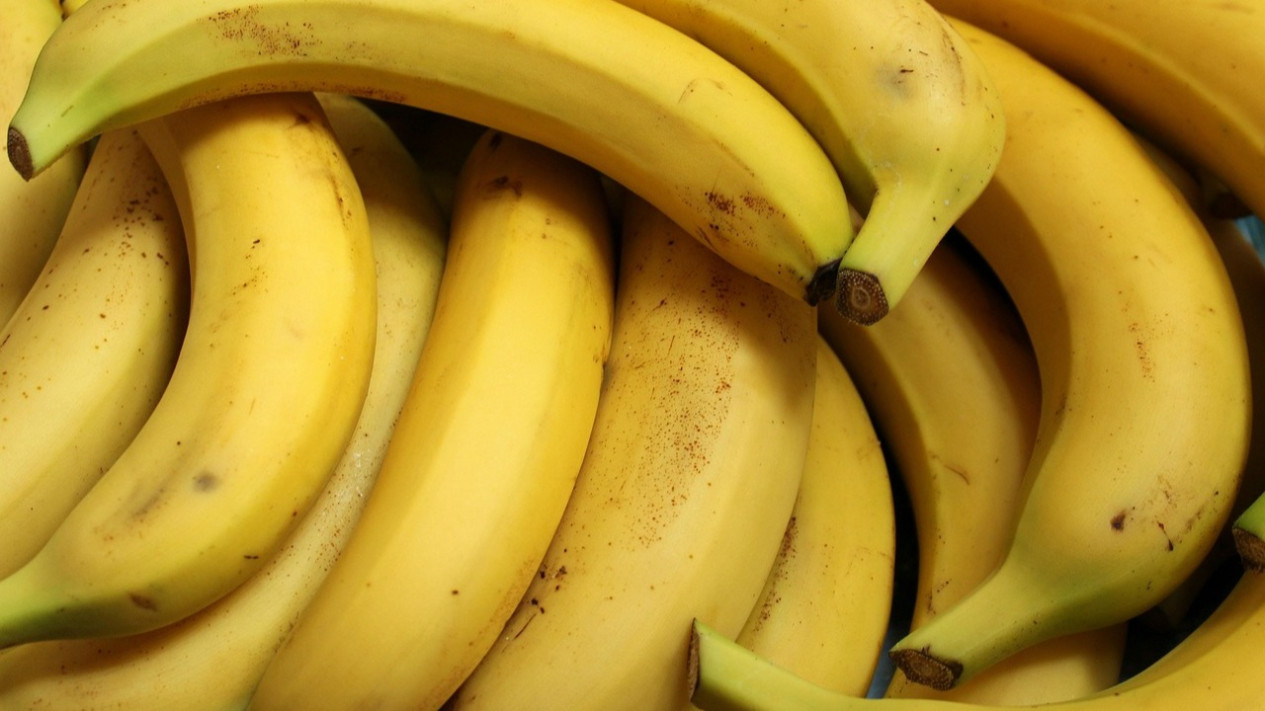 Pisang