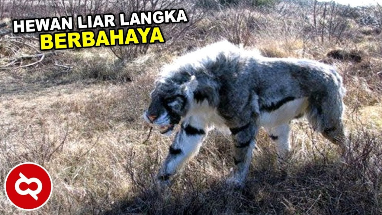 Hewan liar yang berbahaya
