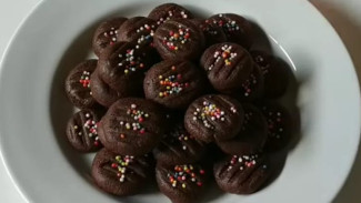 Photo Mini 2