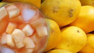 buah emas, timun suri buah emas, timun suri