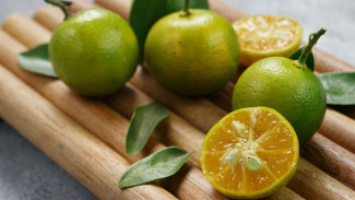 jeruk lemon cui