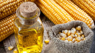 minyak jagung