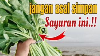 Awetkan Sayur Sawi di Rumah hingga Dua Minggu, Cuma Butuh Koran dan Plastik!