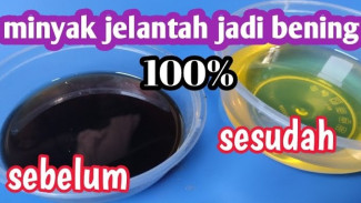 Minyak Jelantah Kotor Jadi Bening Dalam Sekejap, Triknya Cuma Butuh Tepung Terigu!