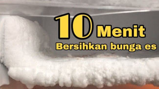 Bunga Es Kulkas Tebal Seperti Gunung? Trik Ini Bikin Bersih dalam Hitungan Menit!