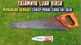 Gergaji Tumpul Bikin Kesal? Pakai Trik Sederhana Menajamkan dengan Pasta Gigi Seperti Baru!