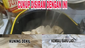 Baju Putih Mulai Kuning atau Kusam? Coba Cara Ini Dijamin Cerah Lagi Cuma Pakai Bahan Dapur!