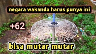 Article