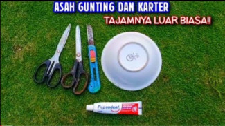 Gunting Tumpul Bikin Kesal? Ini Trik Sederhana Mengasah Pakai Mangkok Bekas yang Nggak Disangka Ampuh!