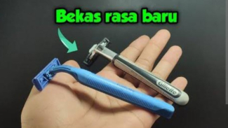 Article