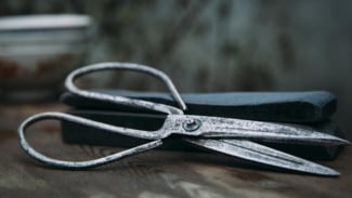Article