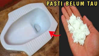 Ampuh Banget Tips Cara Bersihkan Kloset Berkerak Cuma Pakai 3 Bahan Dapur, Kombinasi Jitu Bikin Noda Minggat!