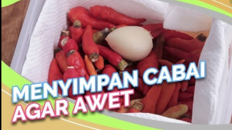 Cara Simpan Cabai di Kulkas Awet 2 Bulan Cara Simpan Cabai di Kulkas Awet 2 Bulan